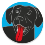 bringfido pet friendly hotels android application logo